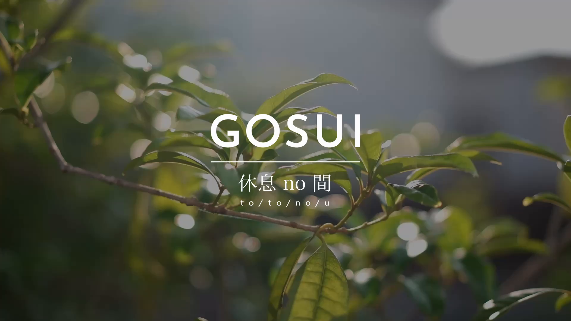 GOSUI